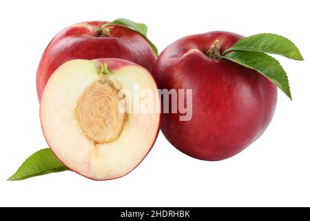nectarine, nectarines Stock Photo
