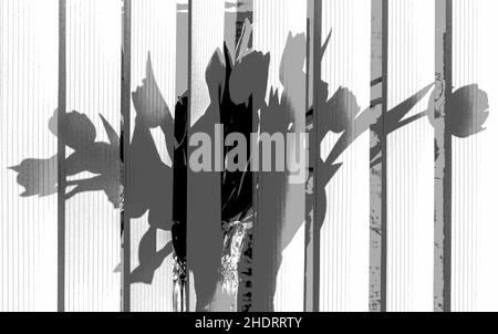 Tulips in a vase are on the windowsill behind the blinds. Stock Photo