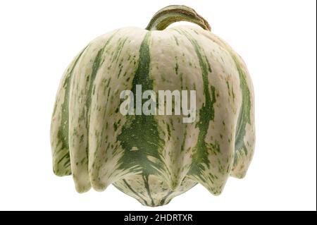 squash, crown of thorns, squashs Stock Photo