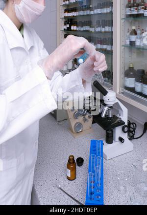 research, lab assistant, chemist, researchs, lab assistants, chemists Stock Photo