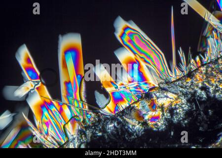 research, natron, microscopy, microscopic, microcrystal, researchs, natrons, microscopies Stock Photo