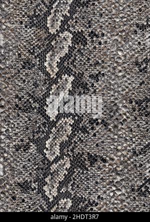 snake skin, snake skins Stock Photo