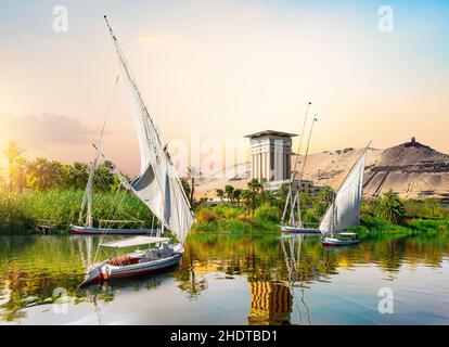 nile river, aswan, felucca, nile, nile rivers, aswans, feluccas Stock Photo