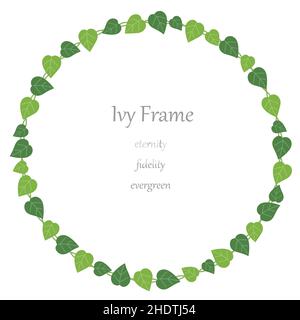 Round ivy frame isolated on a white background. Vector illustration. Stock Vector