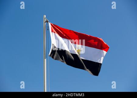 flag, egypt, flags, egyptian, egypts Stock Photo