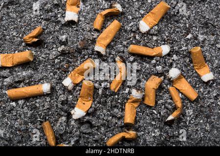 is cigarette ash harmful cigarette, harmful, ash, cigarettes, harmfuls, ashs Stock Photo