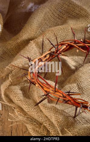 wreath thorn, crown of thorns, wreath thorns Stock Photo