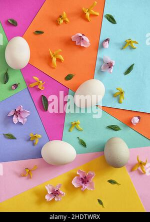multi colored, floral, easter time, multi coloreds, florals, easters Stock Photo