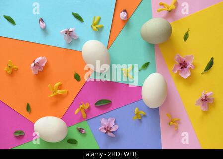 multi colored, floral, easter time, multi coloreds, florals, easters Stock Photo