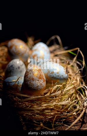 easter nest, easter eggs, easter decoration, easters, easter egg, easter decorations Stock Photo