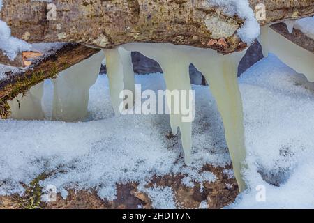 Icicles at winter, cold weather with icicles over river stream, Lithuania Stock Photo