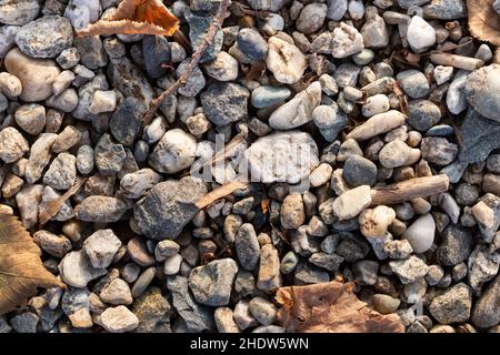 compact soil composed of medium-fine gravel with dry leaves, sunset light, perpendicular view Stock Photo