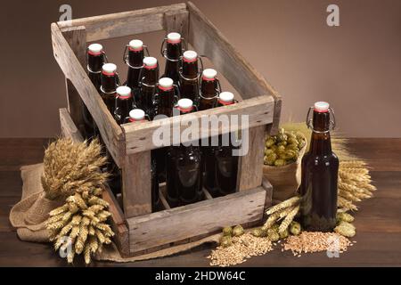 beer, beer box, beers Stock Photo