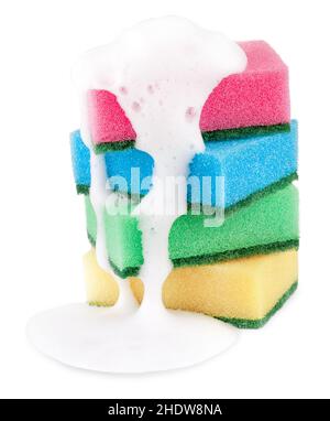 sponge, sponges Stock Photo