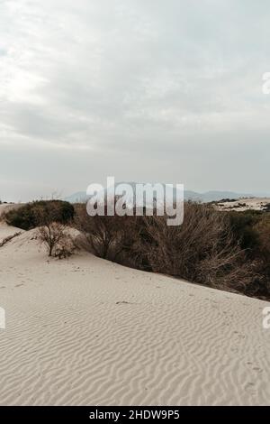 Patara sand dunes landscape. Blowing wind makes rippled patterns Stock Photo