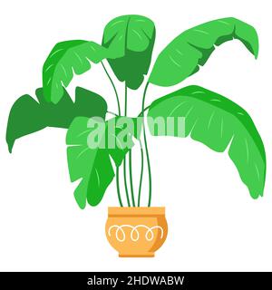 Potted plants collection. Houseplants. Hand drawn vector illustration. Set of vector house indoor plant isolated on white. Stock Vector