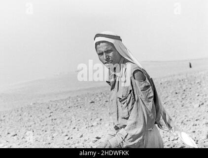 Historic farming in gaza, palestine, 1958. photo: Bo Arrhed Stock Photo ...