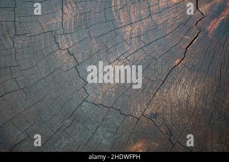 Natural wood texture background Stock Photo