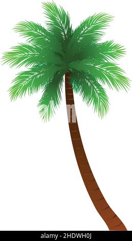 simple cartoon palm tree vector isolated on white background Stock Vector