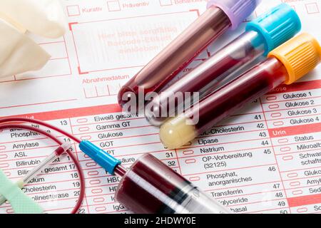 Laboratorium Examination laboratory examination, analysis, evaluation, laboratory examinations ...