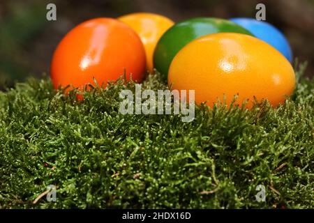 easter, easter egg, easters, easter eggs Stock Photo