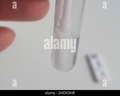 London, UK, 6 January 2022: A lateral flow test is being prepared at home, with the swab in the buffer solution and then the solution dripped onto the test cassette. The rules are changing in Scotland and England so that anyone with a positive lateral flow test will no longer need to have it confirmed by a PCR test. The aim is for people to start self-isolating more quickly and if asymptomatic then return to work and reduce high absence levels, particularly in the NHS and key services. Anna Watson/Alamy Stock Photo