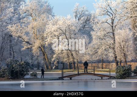 winter, walk, french formal garden, zabeltitz, winters, walks, french formal gardens Stock Photo