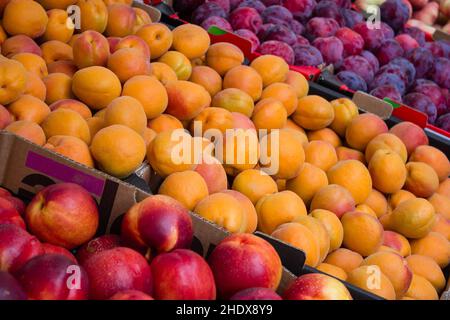 fruit, stonefruit, fruit stand, nectarine, fruits, stonefruits, fruit stands, nectarines Stock Photo