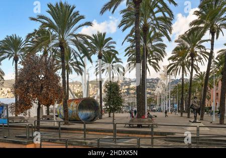 Public park with tall palm trees in the Old Port of Genoa, Liguria, Italy Stock Photo