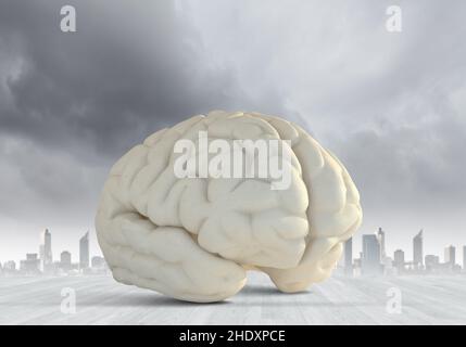 wisdom, intelligence, brain, wisdoms, intelligences, brains Stock Photo