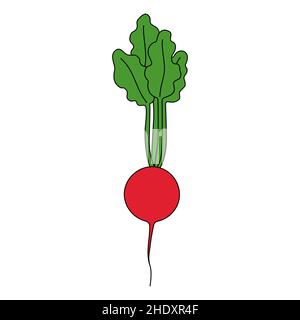 Cartoon vector illustration of radish isolated on white background. Ripe fresh vegetable for cooking, source of vitamins Stock Vector