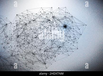 network, binary code, matrix, programming, networks, binary codes, matrixs Stock Photo