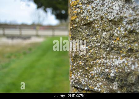 Textured stone wall facing farmyard scene. Stock Photo
