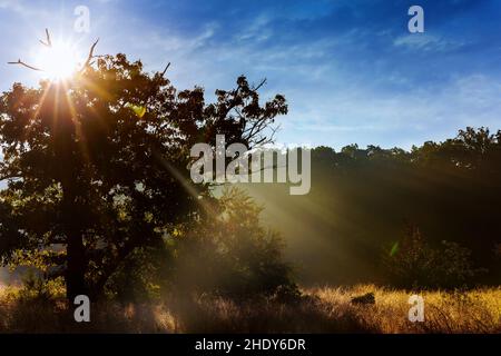 landscape, light moods, landscapes, rural, rural scene, scene, scenery, scenes, light Stock Photo