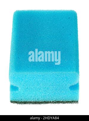 sponge, sponges Stock Photo