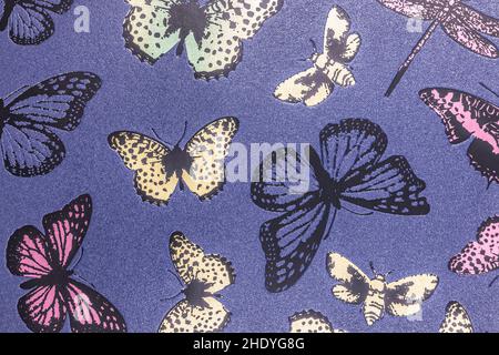 decorative butterfly wall paint, textured stucco wall background Stock Photo