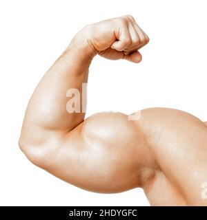 muscular build, buff , athletic, bodybuilder, muscular builds, buff s ...