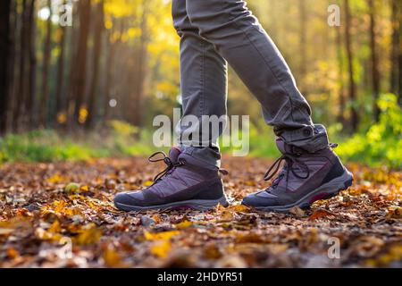 Woman is wearing hiking boot and walking in forest at autumn. Hiking boots on footpath. Stock Photo