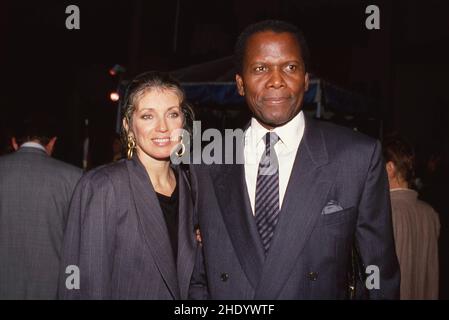 Sidney Poitier Circa 1980's. Credit: Ralph Dominguez/MediaPunch Stock ...