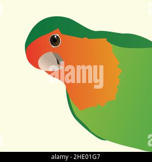 A vector drawing in color of a funny peach faced lovebird, also called a rosy faced lovebird. The green red bird looks from the right side of the pict Stock Vector