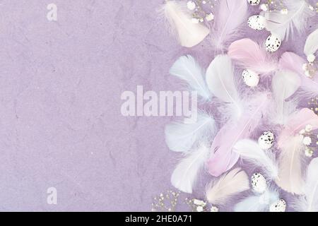 Easter composition with feathers, eggs and white gypsophila flowers on a violet crumpled paper background with copy space. Flate lay Stock Photo