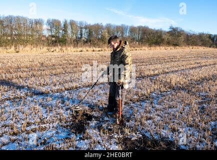 A man using metal detector to look for buried coins in a farmers field, West Lothian, Scotland. Stock Photo