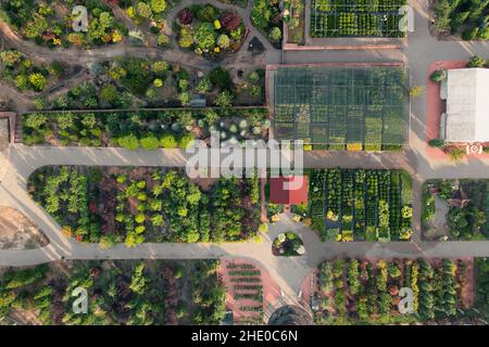 Plant nursery store with many plants for sale on display rack Stock ...