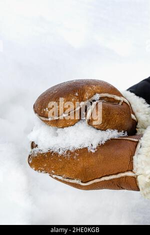 First snow, making snowballs in the park close-up. Hands in warm mittens make snow in winter. Brown leather mittens in the snow in winter. Stock Photo