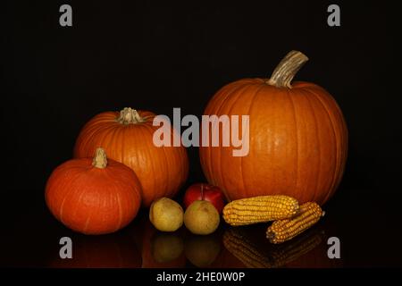 Pumpkins, apples, pears and corn on a black background. Stock Photo