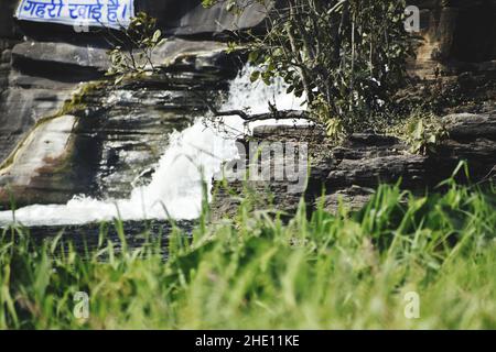 Beautiful view of a waterfall among rocks surrounded by green grass Stock Photo