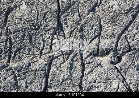 roughly textured gray desert limestone background texture Stock Photo
