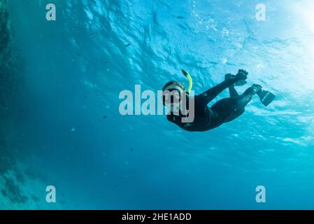 A female free diver diving down below the water's surface in the red sea near Hurghada, Egypt. Stock Photo