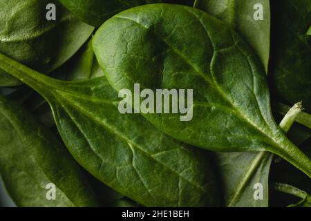 Close up macro top down on spinach green leaf full frame Stock Photo