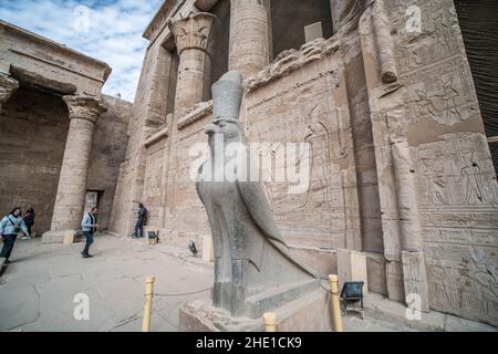 A falcon statue at the entrance of the Edfu temple an archeological site in Egypt. Stock Photo